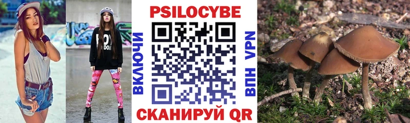 Галлюциногенные грибы прущие грибы Зеленоградск