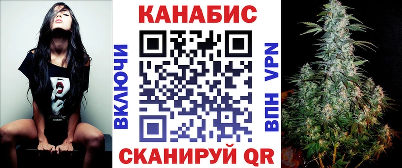 где продают наркотики  Зеленоградск  OMG tor  Канабис планчик 